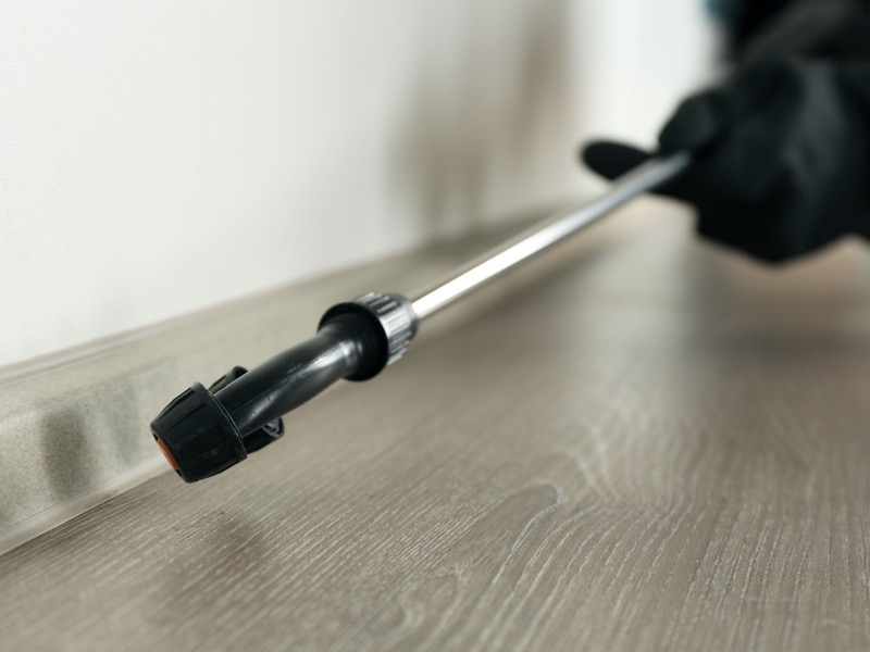 Insektenbekämpfung - Schädlingsservice